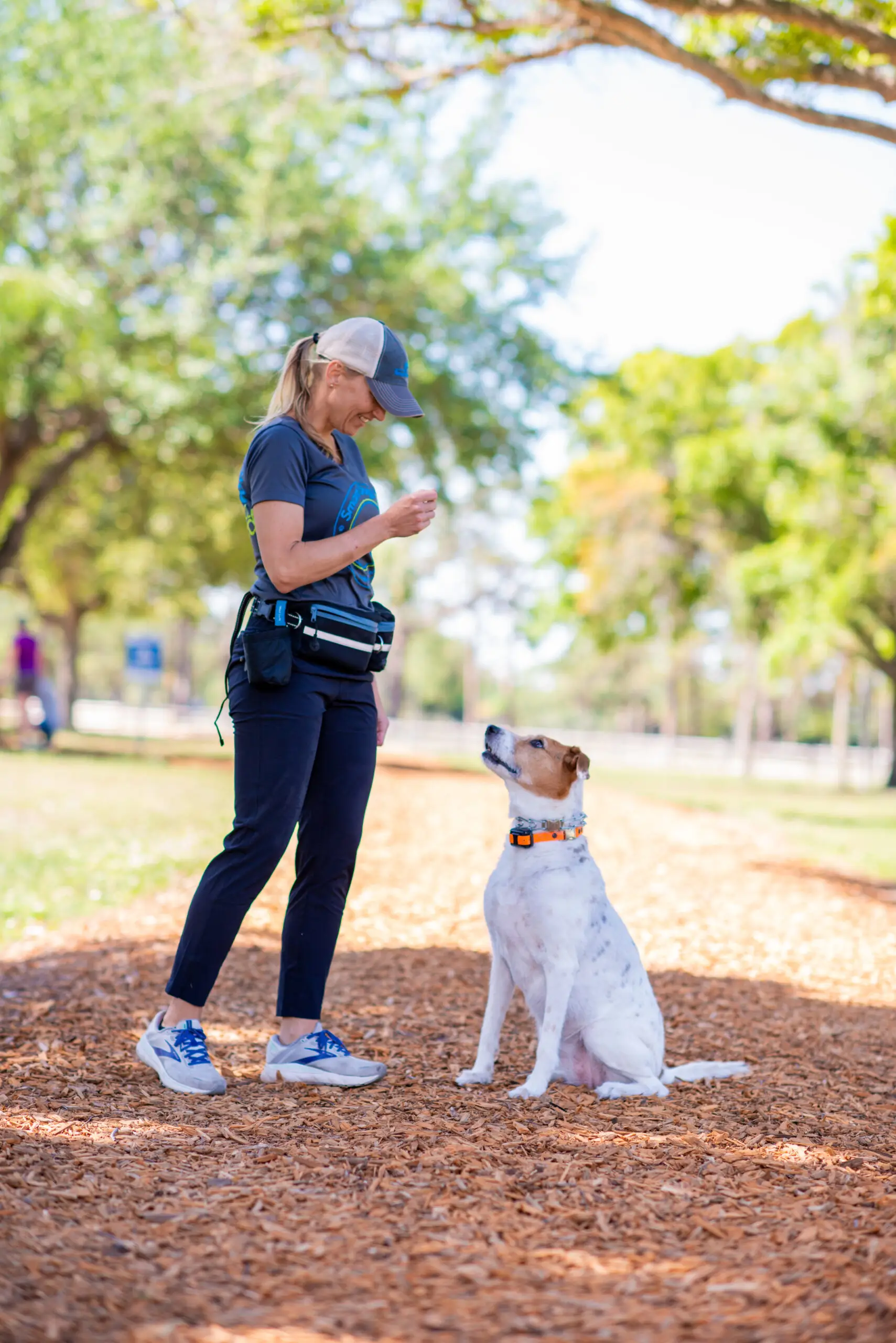 Smart Dogs Walk trainer giving commands in a one-on-one dog training session