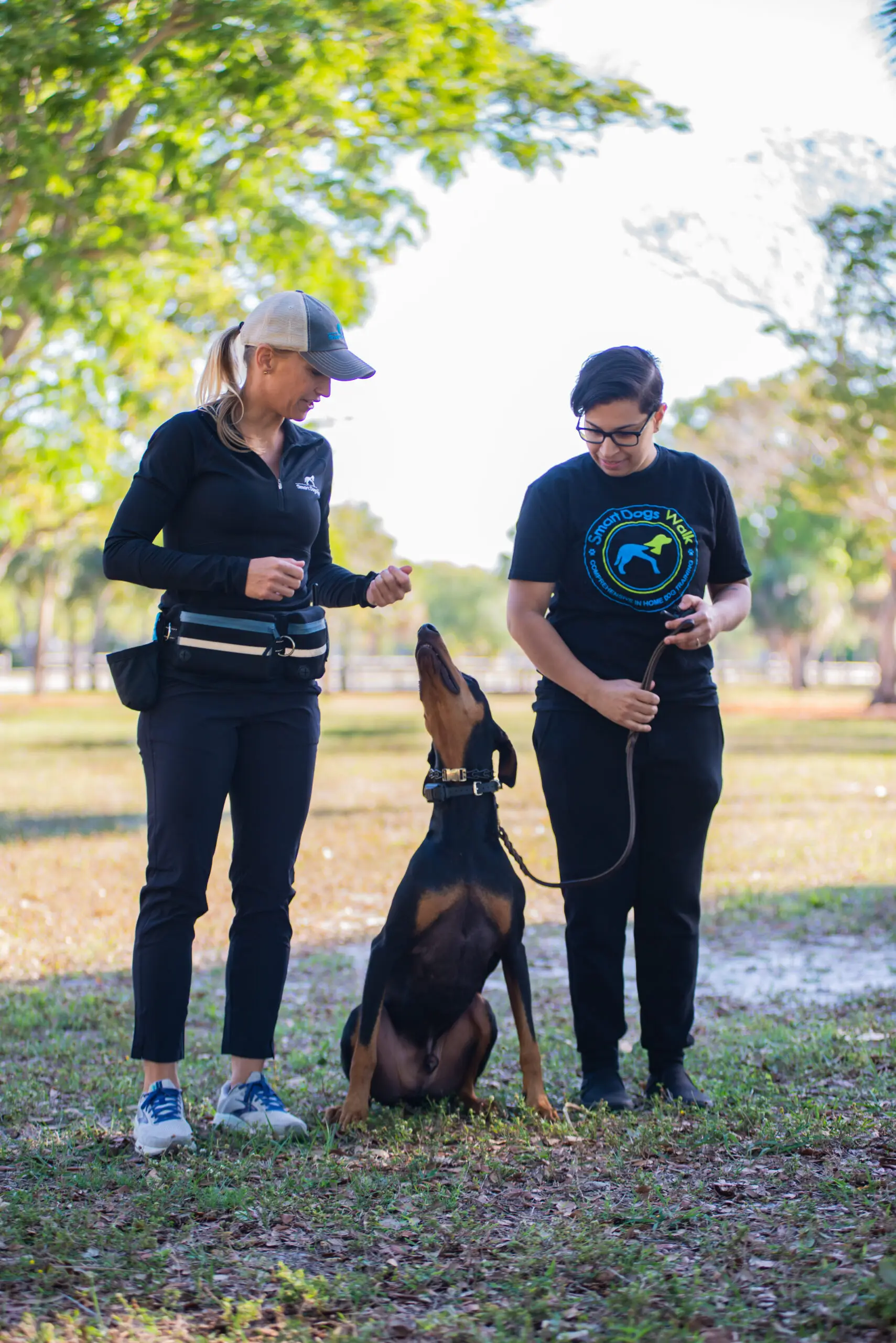 Smart Dogs Walk trainers working with a Doberman during obedience training
