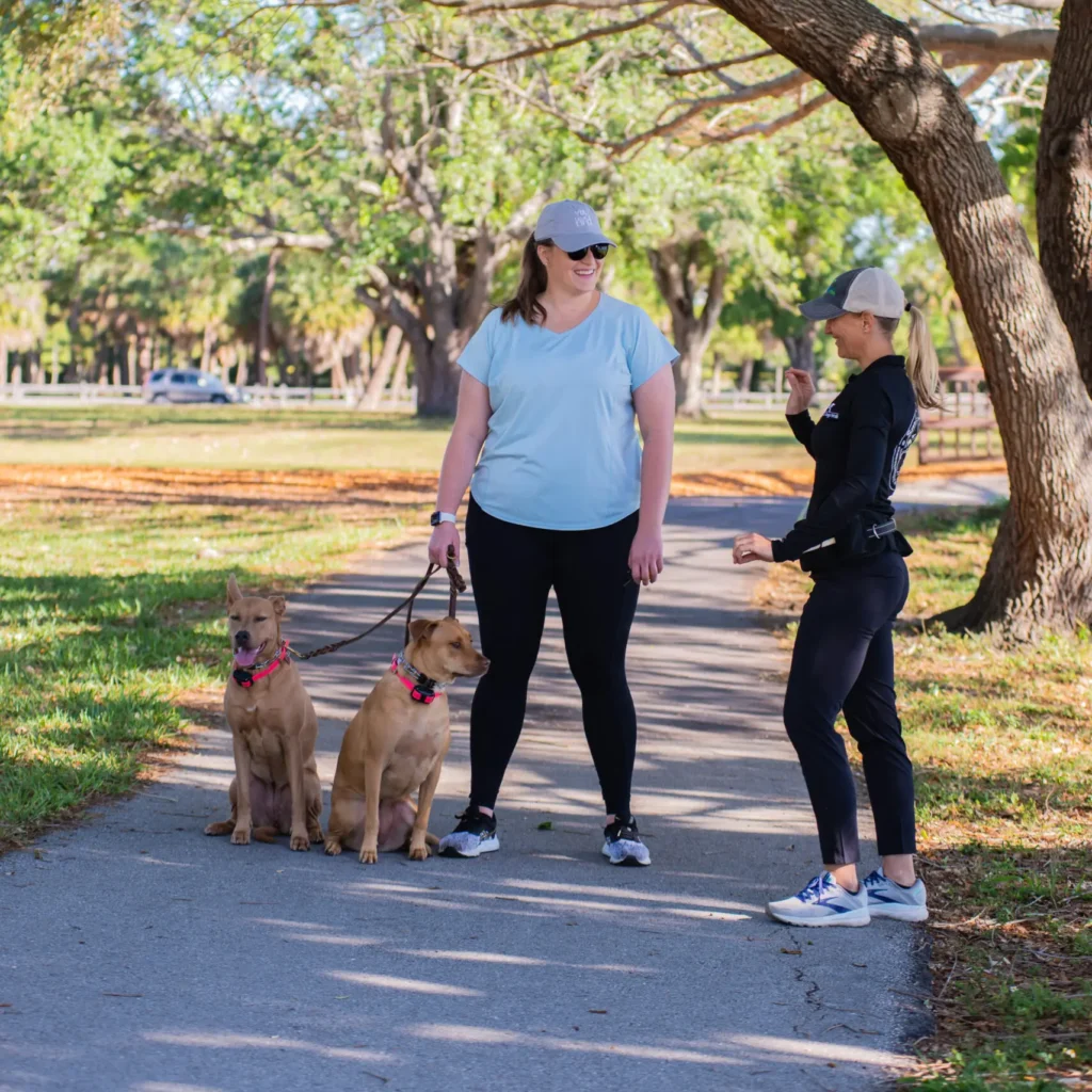 Two trainers walking dogs on a shaded park path during structured leash training session