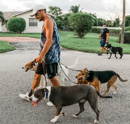 Owner: Jose Rivero Dog: Nino Graduates of 2020